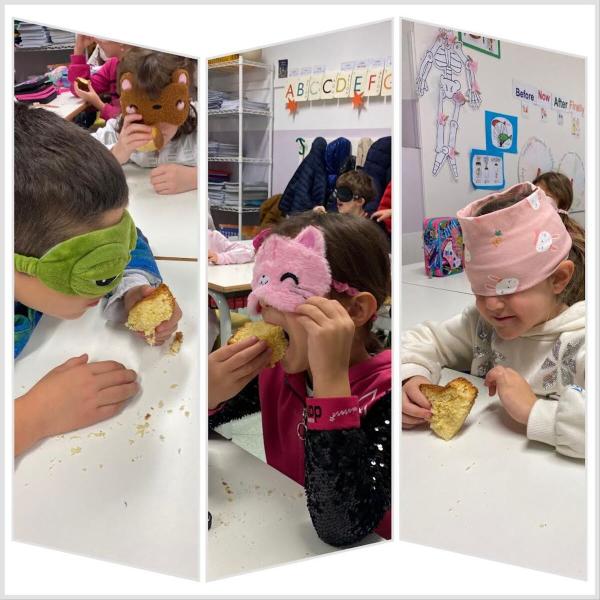 331. PRIMARIA SBS. Blindfold senses challenge