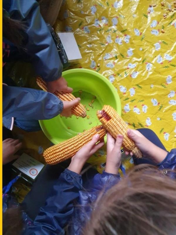 421. PRIMARIA ORDINAMENTALE. Un tuffo nel passato